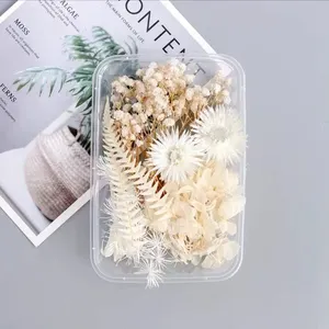 מעורב פרחים לעשות זה בעצמך מלאכת חומר ב סט DIY חומר עבור תמונה מסגרת ונר