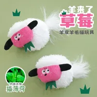 Jouet en peluche pour chat en forme de mouton fraise avec herbe à chat et clochette, durable, pour l'auto-entretenement des chatons