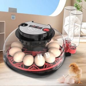 Incubadora de Huevos para Cría de Mascotas, Volteo Automático de Huevos y Control de Temperatura y Humedad para Pollos, Patos, Codornices y Aves - Product Image 5