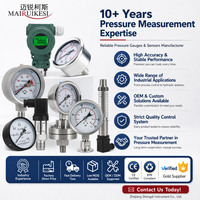 Reliable Price Multiple Specifications Pressure Indicator Air Pressure Meter 50mm Small Liquid Filled Pressure Gauge