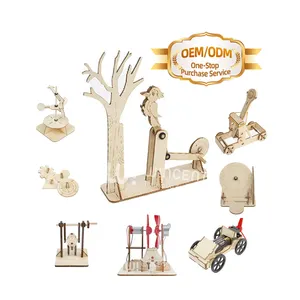 Supplier Of Stem Kits Fundamental Physics Teaching Models Kids Diy Toy Wood Education