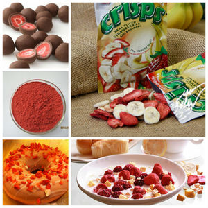 Fraises lyophilisées de qualité gastronomique, un régal sophistiqué pour <span class=keywords><strong>les</strong></span> palais exigeants Fraises lyophilisées - Product Image 3
