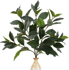 Nueva Llegada de Hojas de Jazmín Africanas Artificiales de Látex, Ecológicas, para Decoración de Bodas, Navidad, Año Nuevo, Sala de Estar y Jardín - Product Image 1