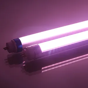 Wiscoon Dc Light Lights Frische Fachgeschäfte, Weingüter, Pink Atmosphere Places LED-Beleuchtungs röhre LED-Laden leuchte