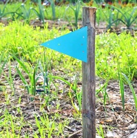 Lignes de pièges en plastique très visibles pour l'extérieur Identifier les stations d'appâts Marqueurs de pièges triangulaires