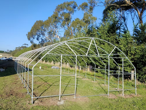 <span class=keywords><strong>Invernaderos</strong></span> Agrícolas Grandes Prefabricados para Uso Doméstico, Solárium de PE, Puerta Opaca, Toldo con Manivela, Cama Elevada, <span class=keywords><strong>Segunda</strong></span> <span class=keywords><strong>Mano</strong></span> - Product Image 4