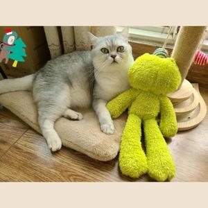 Mainan Mewah Katak Seperti Hidup Lucu, Mainan Edukasi Hadiah Ulang Tahun Boneka Hewan Katak Simulasi - Product Image 5