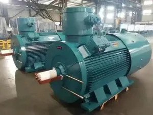 มอเตอร์เหนี่ยวนำไฟฟ้ากระแสสลับแรงดันสูง 6KV 10KV 160KW-2240KW คุณภาพสูง ป้องกันการระเบิด แบบอะซิงโครนัส สามเฟส - Product Image 5