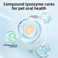 Vente en gros Spray rafraîchissant pour l'haleine orale en plastique écologique pour chiens et chats de compagnie Enlèvement de la mauvaise haleine Artefact de calcul dentaire