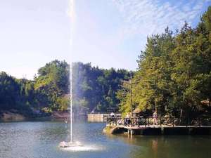 น้ำพุกรีดร้องน้ำพุฤดูใบไม้ผลิตะโกนสุดฮิต - Product Image 4