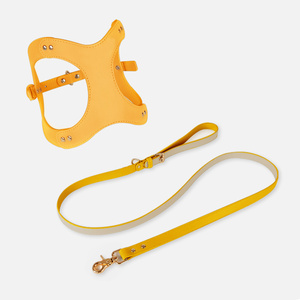 طقم أحزمة ومقود للكلاب الأليفة من جلد البولي يوريثلين بنمط عادي فاخر - Product Image 2