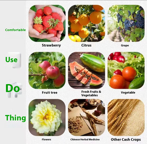 <span class=keywords><strong>ผล</strong></span>ไม้ขยายตัว, การย้อมสี, การปรุงแต่งความหวาน, ความสดใสของเปลือก, อัตราการติดผล - Product Image 3