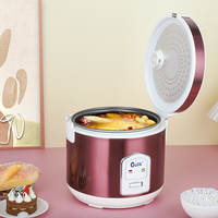 Cuisinière à riz automatique commerciale de 2L à 6L en gros, avec tasse à mesurer, revêtement antiadhésif en acier inoxydable, pot électrique pour la maison