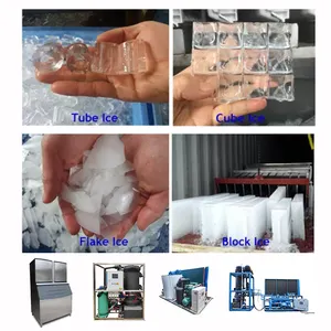40-1000kgs 스테인레스 스틸 큐브 튜브 플레이크 산업 가정용 상업용 제빙기 La Maquina De Hielo 얼음 만들기 기계