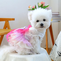 Jolie robe en laine pour animaux de compagnie avec nœud papillon, robe pour chien et chat printemps été