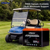Baterai LiFePO4 24V 200AH dengan Terminal Bluetooth Anderson, Deep Cycle Lithium Iron Phosphate untuk Golf Cart, Paket dengan Pengosongan Daya Sendiri yang Rendah