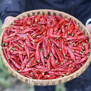 Chile Rojo Dulce Deshidratado, Pimentón en Escamas, Pimiento Crudo Conservado en Agua, Chile Triturado en Proceso de Secado al Aire, Producto Agrícola - Product Image 1