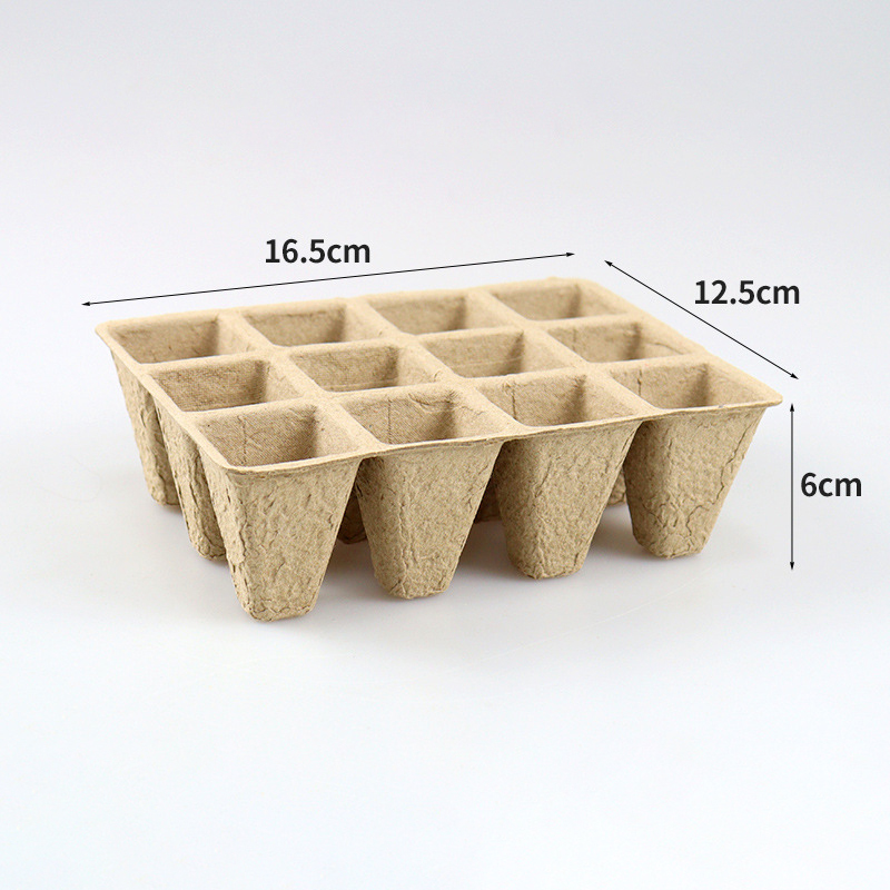 Dimensione del vassoio di 12 celle S