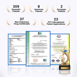 Tinh khiết Hữu Cơ 90% protein đậu nành cô lập bột nồng độ cao phụ gia thực phẩm - Product Image 3