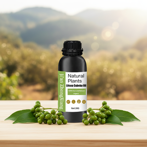 Huile essentielle d'extrait d'herbes naturelles pures biologiques 100% <span class=keywords><strong>pour</strong></span> le savon, qualité thérapeutique, huile essentielle de Litsea Cubeba (May Chang) - Product Image 1