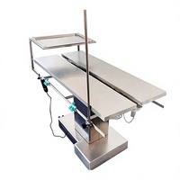 Table d'opération vétérinaire en acier inoxydable à température constante, simple et pratique, alimentée par charge, pour hôpital vétérinaire
