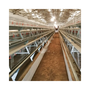 Cage de couveuse automatique pour poussins de type 2 portes durable avec système d'alimentation et d'abreuvement avec environnement de poulailler confortable - Product Image 1