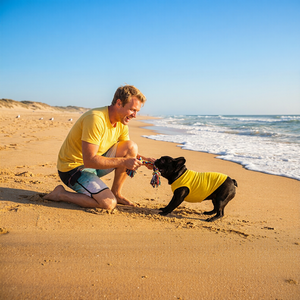 カスタムロゴ対応 高級 夏用スリム ドッグTシャツ ポリエステル・コットン製 春シーズン向け - Product Image 5