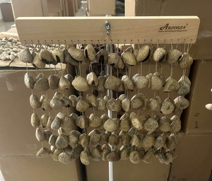 Panji Seeds Chimes, Wind Chimes de Pangi Seeds para Mediación, Yoga, Sanación con Sonido, etc. - Product Image 2