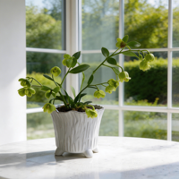 Vase en céramique de style INS, simple, moderne et rustique, pour plantes et fleurs, idéal pour la décoration de la maison, du bureau et du salon
