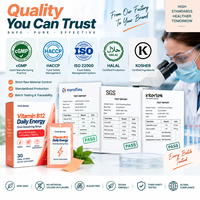 Bandes buccales Vitalité Quotidienne B12 Complexe B Ginseng Dissolution Rapide Film Oral Dissolvable Sans Caféine Marque Privée OEM