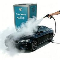 Nettoyeur Vapeur Haute Température Anti-Bactérien pour l'Intérieur des Voitures et la Stérilisation des Grilles d'Aération, Certifié CE 220V/380V