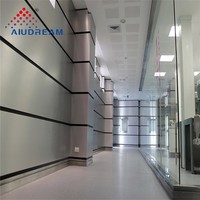 Placa de Aleación de Aluminio, Revestimiento Metálico para Paredes, Muro Cortina, Puertas, Ignífugo, Antibacteriano, Alta Resistencia a la Corrosión, Serie 1000