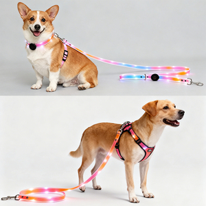 Ensemble collier et laisse pour chien SHIELD HOUND 3 Type LED, luxe, tendance, rechargeable, nylon, entraînement nocturne, fermeture à boucle, motif géométrique - Product Image 5