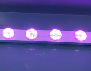 45 मिमी ऑटो प्रोग्राम्ड गिरगिट फफेयर rgbw AQ24v थीम पार्क पॉइंट लाइट्स ip65 मनोरंजन पिक्सेल एलईडी लाइट - Product Image 5