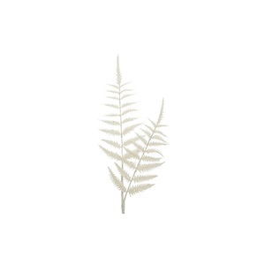 BRANCHES BLANCHES SCINTILLANTES AVEC FEUILLES H 65CM - Product Image 1