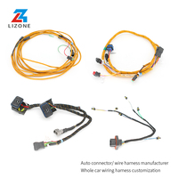 Ensemble de faisceau de câbles ECU/EV série AMP/DT-Connecteurs automobiles étanches IP67, OEM personnalisé (fabricant direct d'usine)