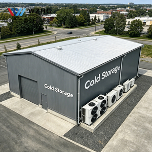 Industrial Refrigeration Warehouse Customized Q355b Steel Structure Engineering Solution 1000sqm Project Owner - Product Image 1
