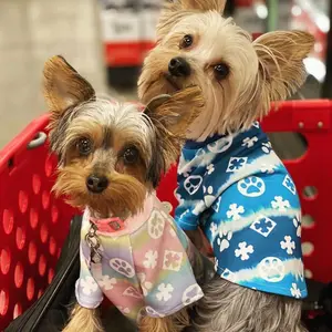 Camiseta de marca de luxo com design fofo, roupas esportivas para cachorro e animal de estimação