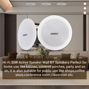 818b 4.5 inch 4x30W <span class=keywords><strong>PA</strong></span> hệ thống Trần loa không dây hoạt động BT Trần Loa Kit Hệ thống loa Trần - Product Image 6