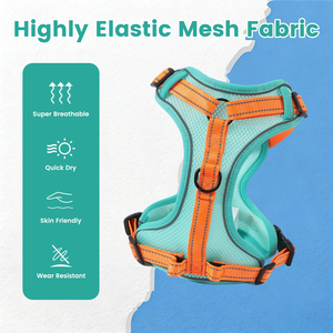 Correa de Plástico para Perro con Arnés Integrado, Retráctil Automática, Antiexplosión, Ecológica, con Estampado, para Razas Pequeñas - Product Image 2