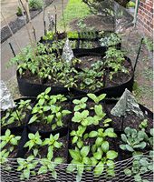 Sacs de culture pliables en feutre durable (5/10/20 gallons) personnalisables pour jardinières surélevées, jardinage, ferme/jardin