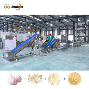Impianto di Lavorazione dell'Aglio con <span class=keywords><strong>Separatore</strong></span> Automatico dei Bulbi, Macchina Pelatrice, <span class=keywords><strong>Lavatrice</strong></span> e <span class=keywords><strong>Asciugatrice</strong></span> Industriale e Attrezzatura per la Macinazione - Product Image 4