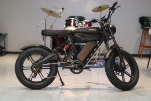 Customized Lithium Battery Magnesium Frame Rear <b>Hub</b> Motor Commuting 7-speed Ebike M1 7-speed Gearing Smooth - Product Image 4