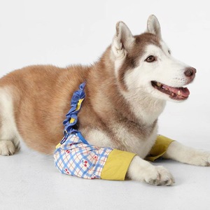 Pet Dog Elbow Pads <b>Knee</b> <b>Protectors</b> Large Dog Joint Protection All Seasons Wearable Pet Clothes Protective Gear - Product Image 1