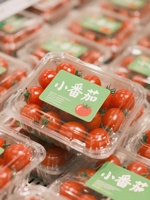 Barquette en plastique transparente jetable pour la viande fraîche, les légumes, les plats à emporter, les contenants d'emballage alimentaire