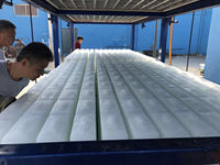 Costo de Maquinaria para Planta de Hielo de 10 Toneladas, Compresor para Planta de Hielo, Bloque de Hielo Artificial