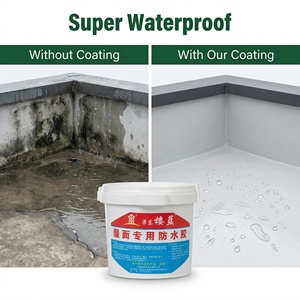 BIAOYUAN Revêtement transparent imperméable en acrylique moderne respectueux de l'environnement Garantie de 5 ans Format liquide pour mur extérieur - Product Image 3