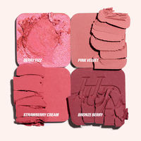 Palette de Filtres Minéraux Waterproof Changeant de Couleur pour un Effet Flou, 4 Formules Ultra-Pigmentées Naturelles, Fini Mat et Brillant, pour Teint Clair