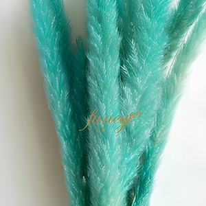 Bestseller: Erba della Pampa Naturale Essiccata Fornita Direttamente dalla Fabbrica, Ideale per Matrimoni, Halloween, Capodanno e Festa della Mamma - Product Image 6