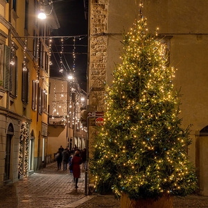 Vente en gros de sapins de Noël en PE de qualité supérieure, de 90 cm, 120 cm, 180 cm, 210 cm, 240 cm, avec bande lumineuse - Product Image 6